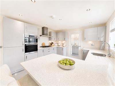 Picture 13